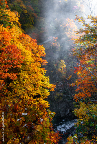定山渓朝霧と紅葉の渓流