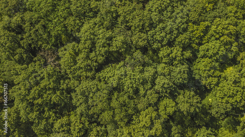 Vista aerea di una foresta fitta di alberi nella foresta amazzonica. C'è una bella giornata di sole ma al di sotto delle chiome degli alberi è buio.  photo