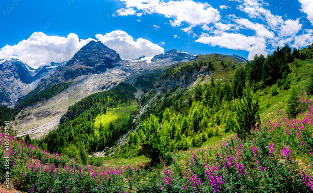 Fototapeta premium Italy, Stelvio National Park. Famous road to Stelvio Pass in Ortler Alps. Alpine landscape.