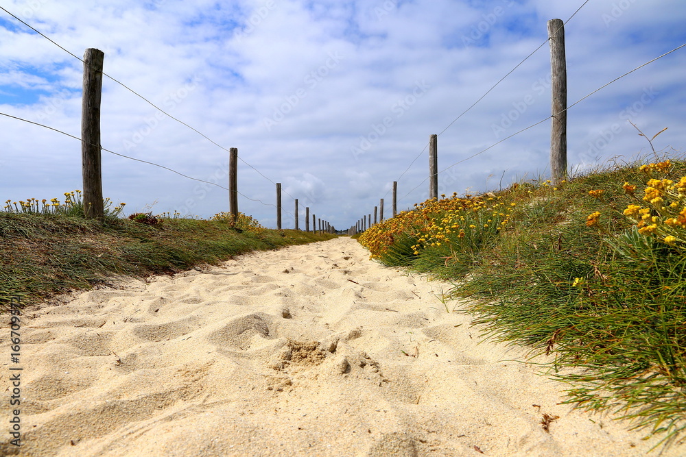 Sandy beach walking track on a sunny day n brittany, france Sandy beach walking track on a sunny day n brittany, france