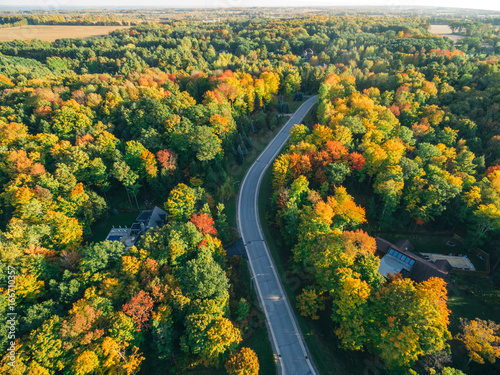 Drone image of changing trees