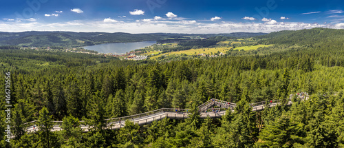 Amazing panorama of Lipno Dam and Sumana national park from Treetop Walkway,  Lipno nad Vltavou, South Bohemia, Czech Republic