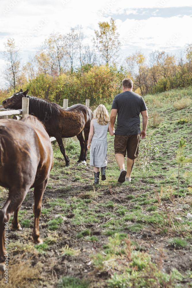 Father and daughter walking beside horses Father and daughter walking beside horses