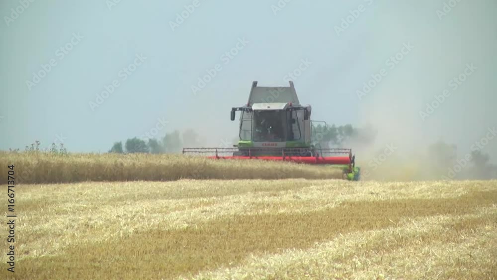 Harvesting wheat. Combine harvester Harvesting wheat. Combine harvester