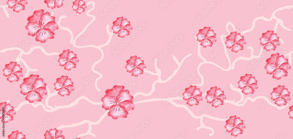 Cherry blossoms on pink