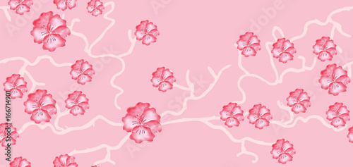 Cherry blossoms on pink