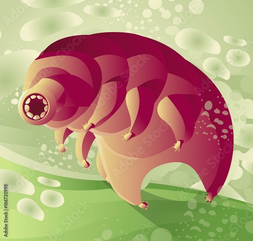 microscopic animal tardigrade underwater