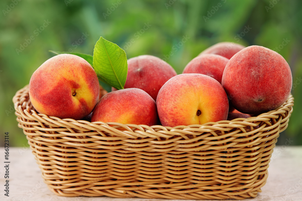 Basket of Fresh Peaches