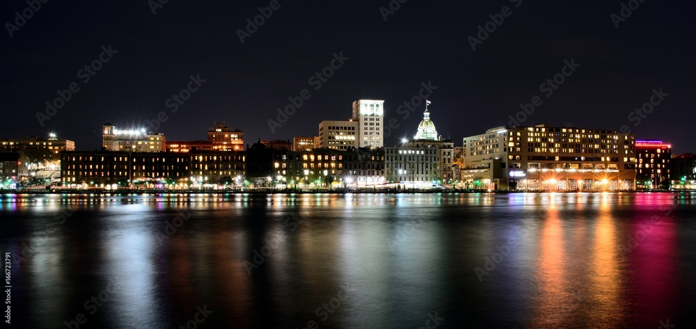 Savannah at Night