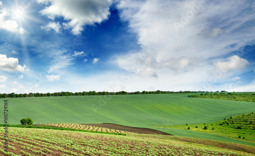 picturesque rural landscape with green spring field lit by bright sun