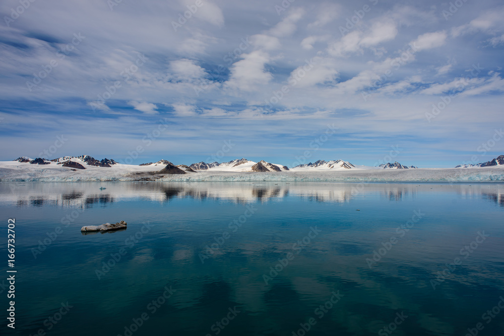 Fototapeta premium Arctic landscape