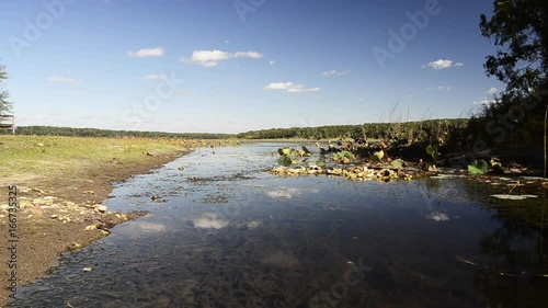 Breeze blows vegetation on marsh river