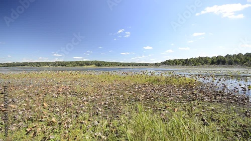 Vast marsh landscape on summer day