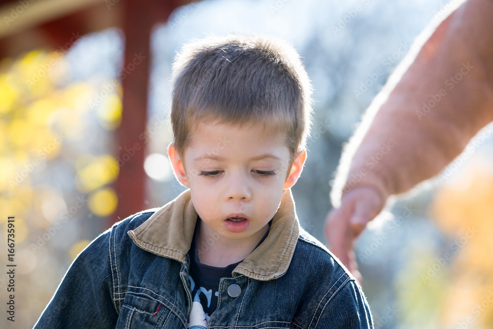 child boy portrait in autumn child boy portrait in autumn