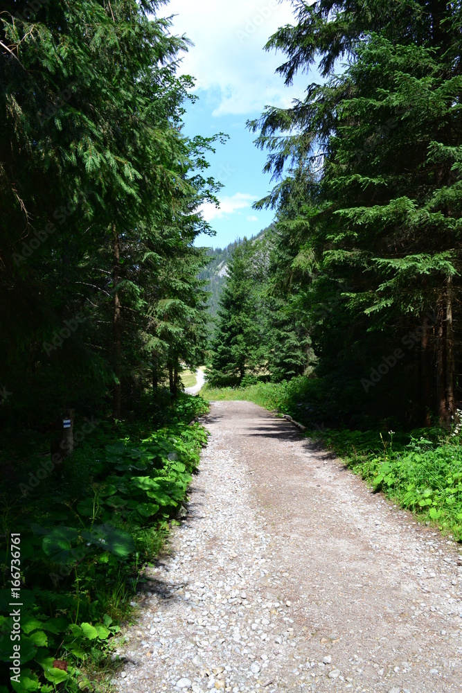 Fototapeta premium szlak turystyczny w Tatrach