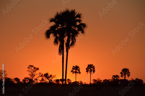 coucher de soleil en Namibie