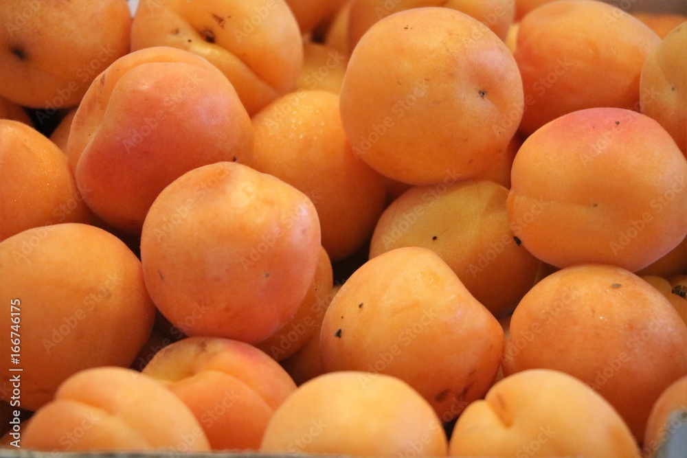 Apricots at the market in Fremantle, Western Australia 