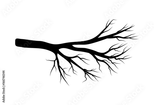 bare branch vector symbol icon design. Beautiful illustration isolated on white background