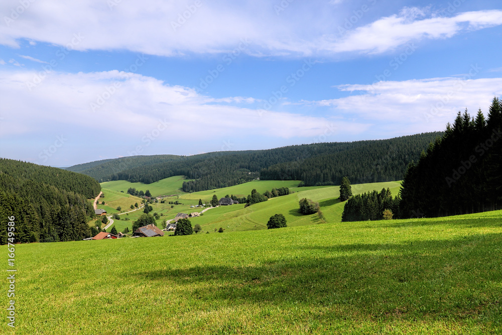 Scenic countryside landscape in the Black Forest: green summer mountain valley with forests, fields and old houses in Germany
