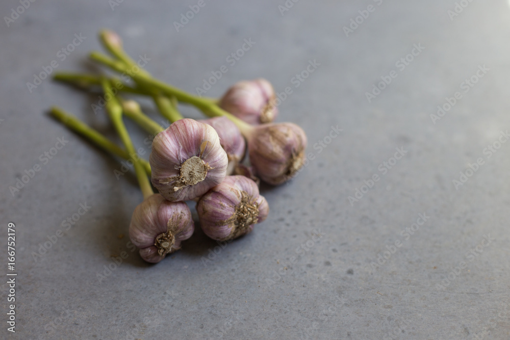 Purple California garlic