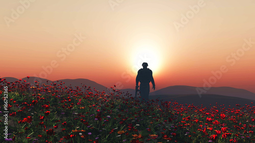 3D soldier walking in a poppy field