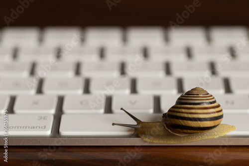 Slow work snail keyboard