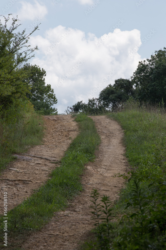 Fototapeta premium Farm path