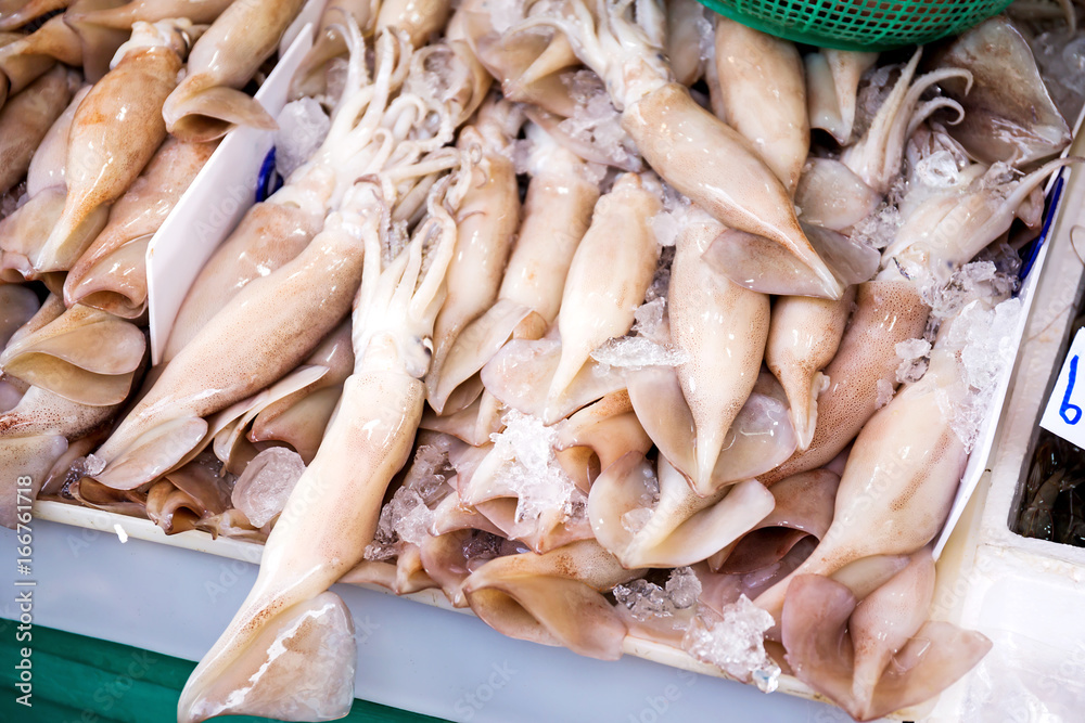 Fresh group of squid in seafood market
