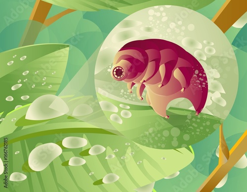microscopic zoom to a water drop in a leaf to see a tardigrade