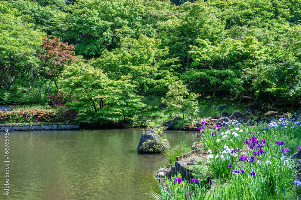 虹の郷日本庭園