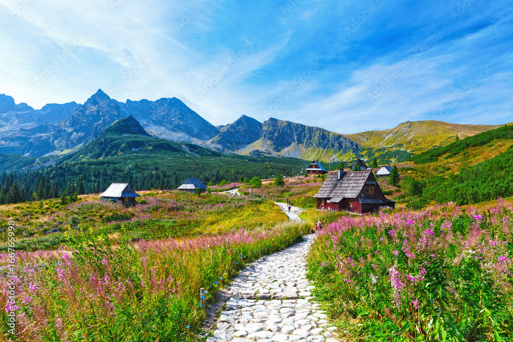 Obraz premium Gasienicowa Valley in Tatry mountains, Poland