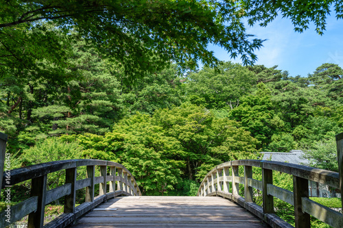 虹の郷日本庭園の錦橋 © T-Kai
