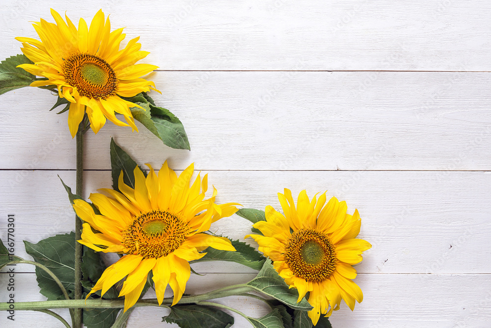 Fototapeta premium Background with a bouquet of yellow sunflowers on white painted wooden planks. Space for text.