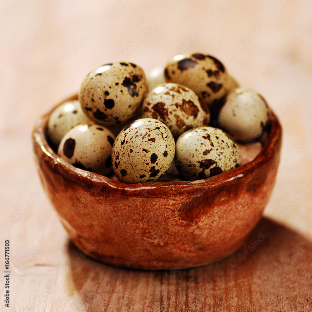 Fototapeta premium quail eggs in a basket