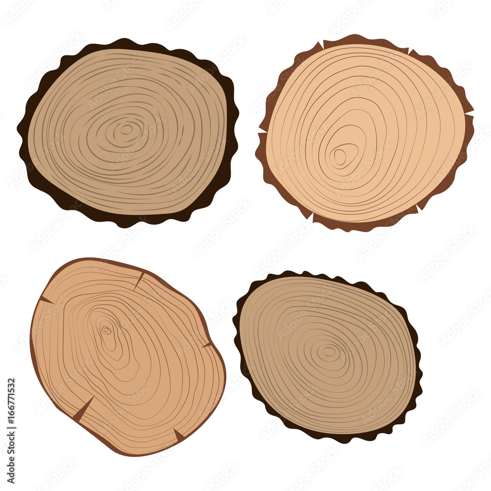 Wood slice texture tree circle cut raw material set detail plant years history textured rough forest vector illustration. Wood slice texture tree circle cut raw material set detail plant years history textured rough forest vector illustration.