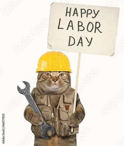 The cat builder is holding a wrench and a poster with the text 