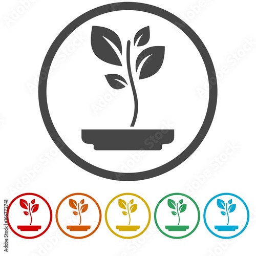 Young plant vector icons set