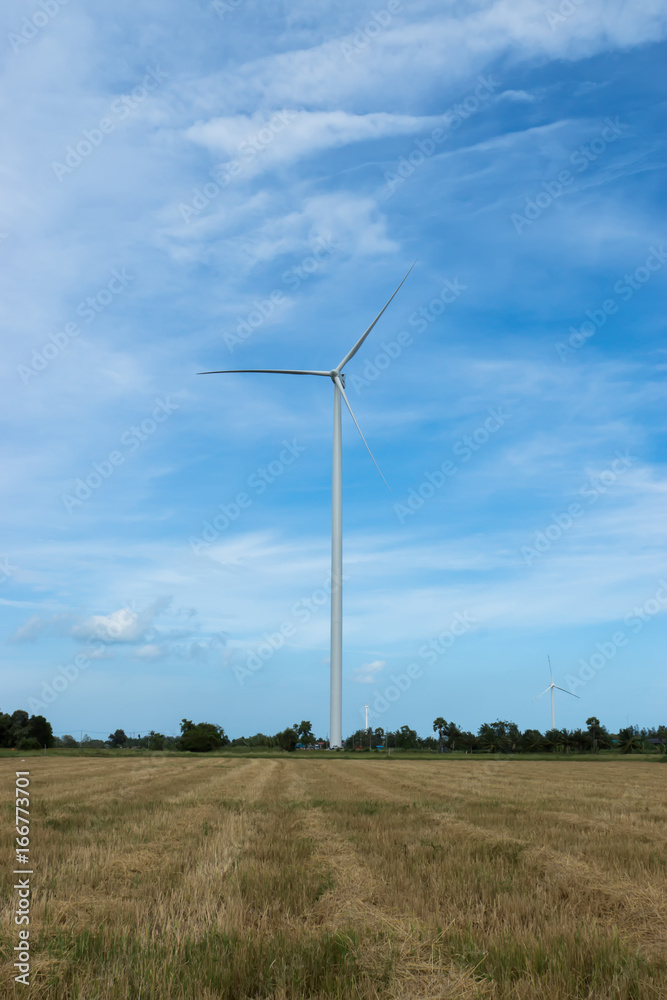 Wind turbines generate electricity