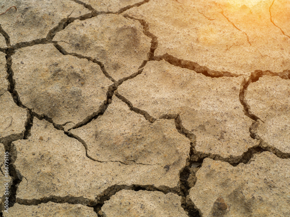 Fototapeta premium Dry soil in summer