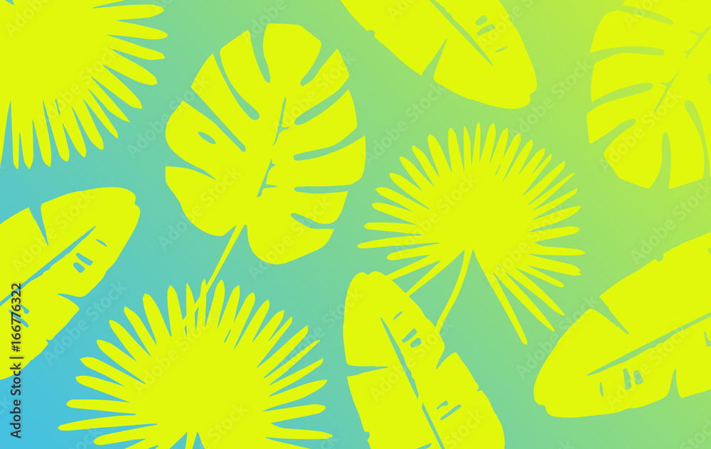 Fototapeta premium Trendy Tropical Leaves Background