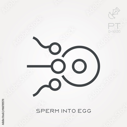 Line icon sperm into egg