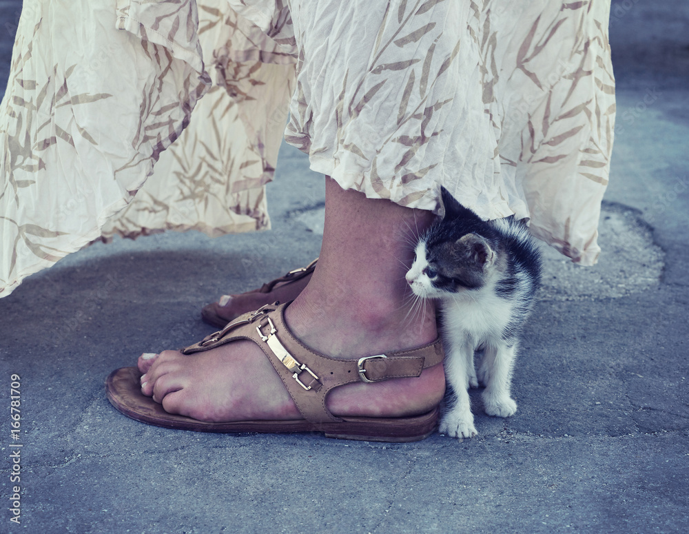 Little kitten is trying to reach woman's leg. Small cute pretty colorful cat is playing with lady wearing long skirt and espadrilles. Small animal in a big world. Little kitten is trying to reach woman's leg. Small cute pretty colorful cat is playing with lady wearing long skirt and espadrilles. Small animal in a big world.