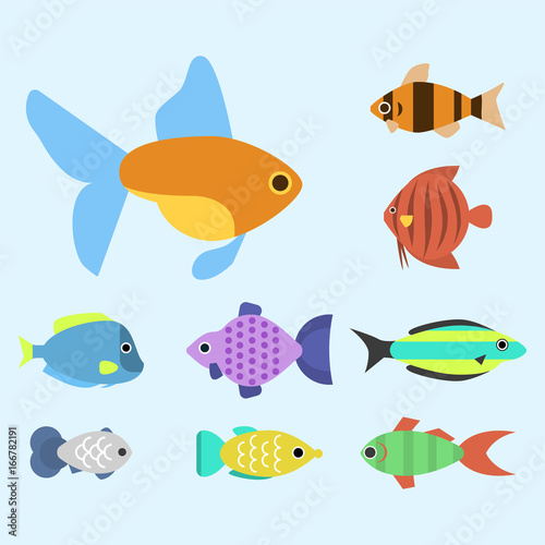 Exotic tropical fish race different breed colors underwater ocean species aquatic strain nature flat vector illustration.