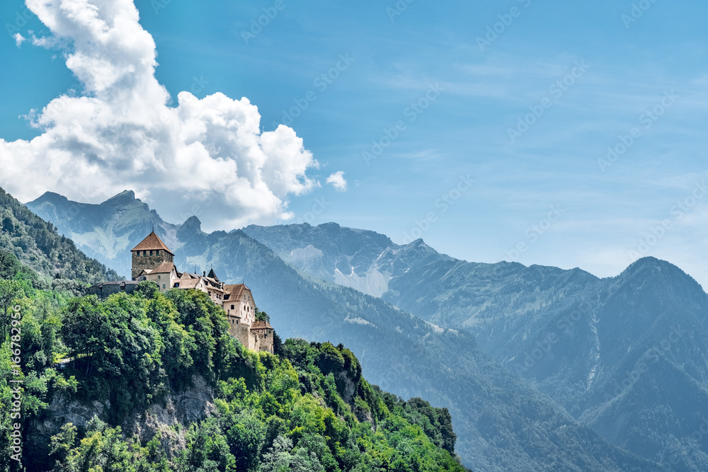 Fototapeta premium Vaduz Castle - Liechtenstein