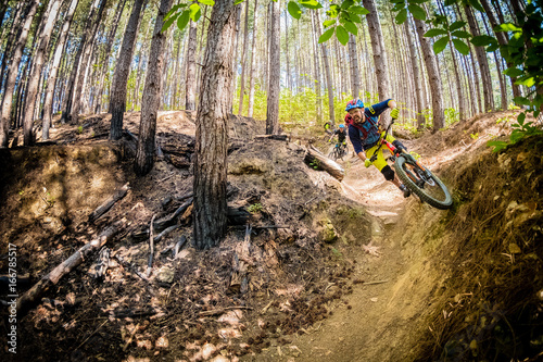 Mountain biker in Tuscany flying through a burned forest photo