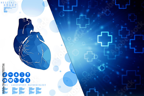 Photography 2d illustration of human body organ(heart anatomy)
