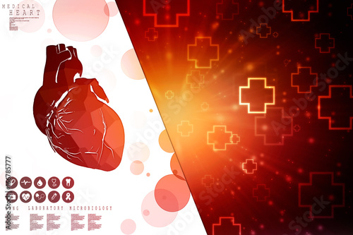 Photography 2d illustration of human body organ(heart anatomy)