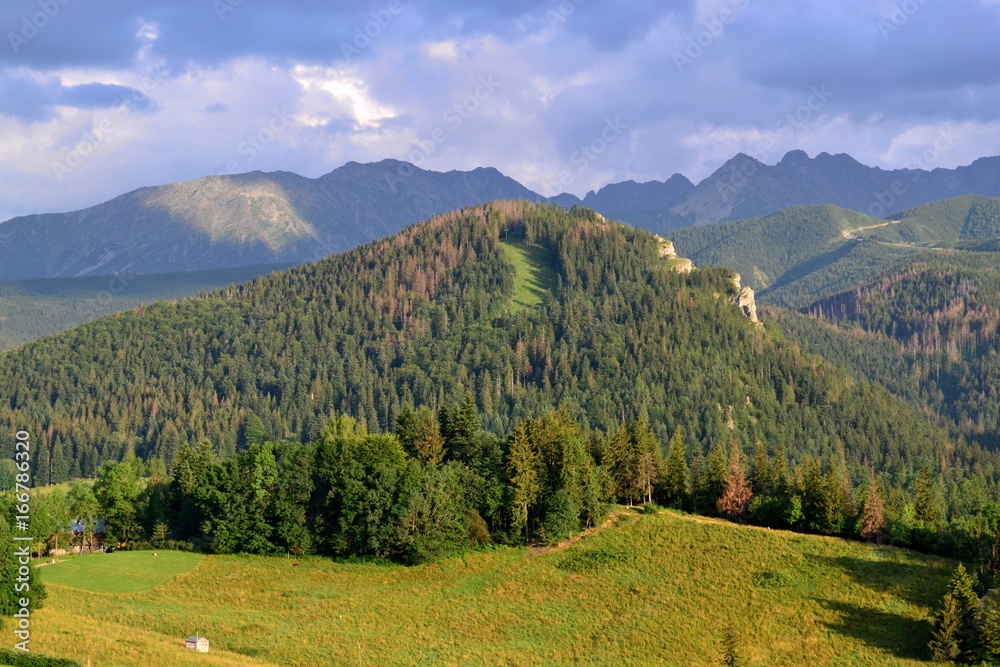 Obraz premium Góry Tatry - widok z Antałówki