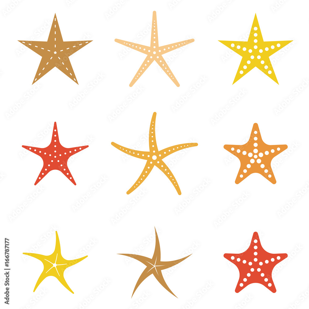 set of starfish icon, flat design vector