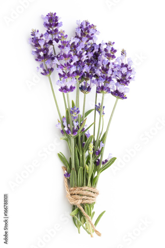 Lavender flowers.